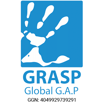 GlobalGRASP