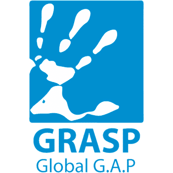 GlobalGRASP