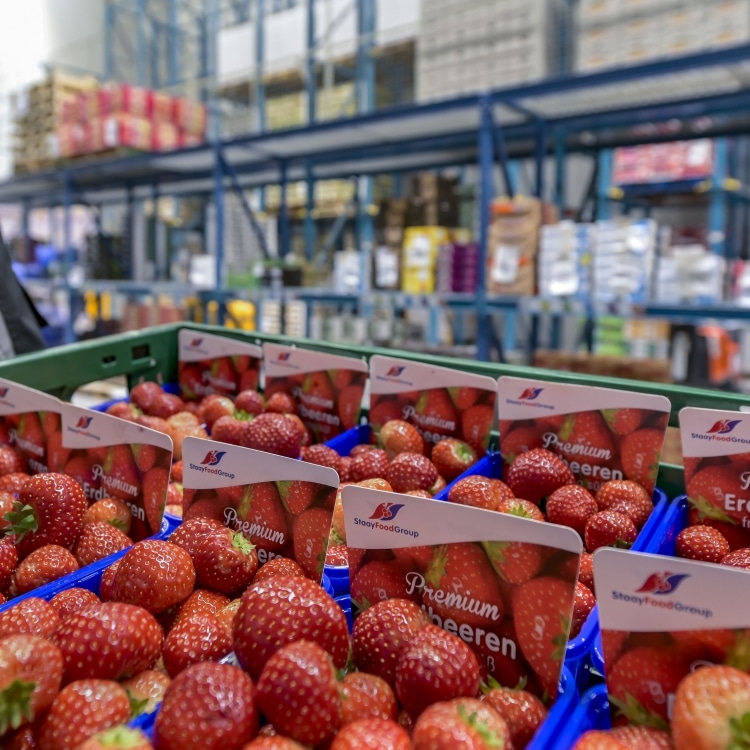 Zachtfruit Aardbeien