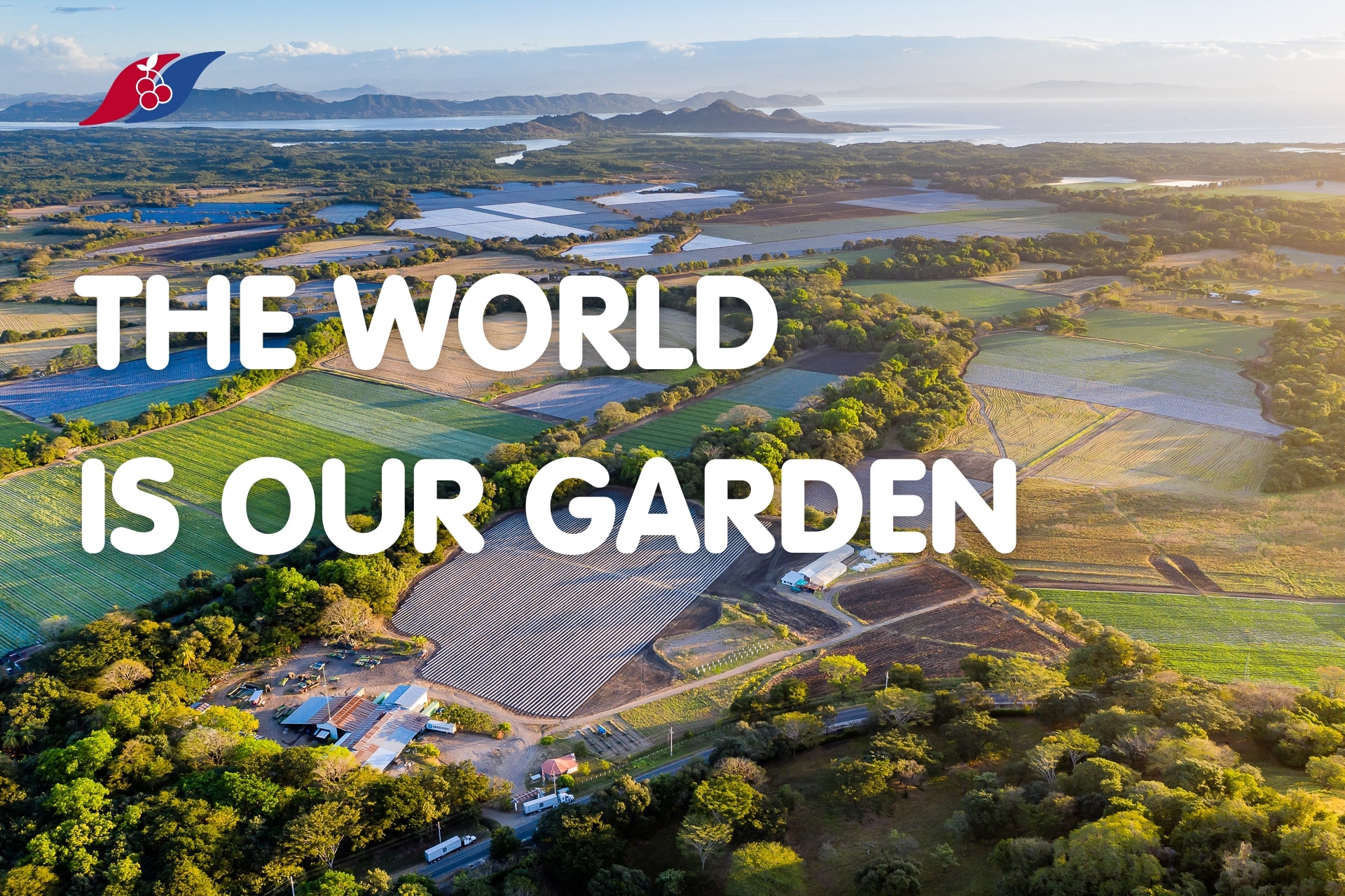 The world is our garden